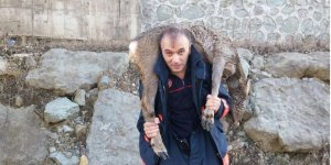 Dereye Düşen Karacaları Belediye Ekipleri Kurtardı