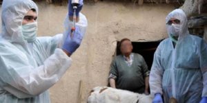 Trabzon'da Şarbon Şüphesi