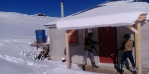 Jandarma, Trabzon Kırsalında Arama Faaliyetlerini Sürdürüyor