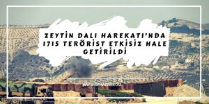 Zeytin Dalı Harekatı'nda 1715 terörist etkisiz hale getirildi