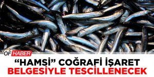 Hamsi Coğrafi İşaret Belgesiyle Tescillenecek